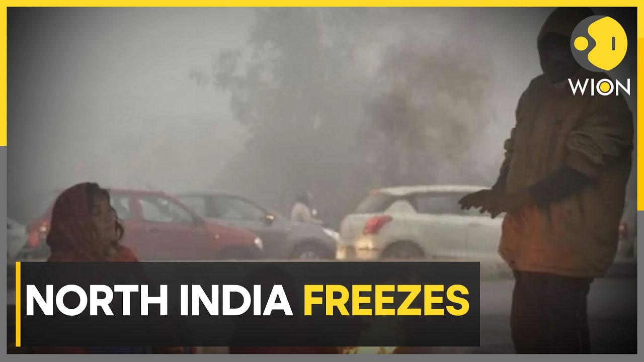 North India battles extreme weather conditions; Orange alert issued in Uttar Pradesh, Bihar | WION