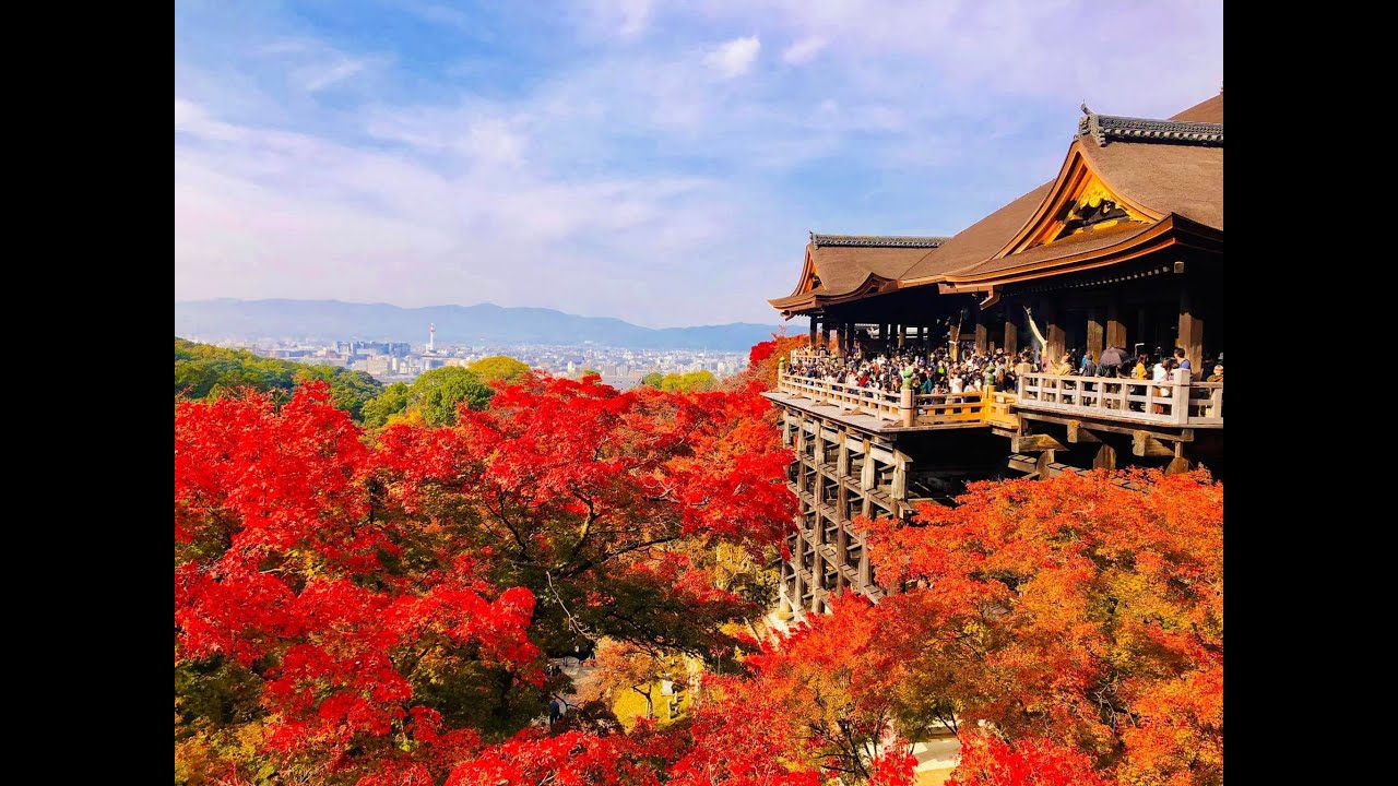 音羽山 清水寺 京都 紅葉🍁CHÙA THANH THỦY  #京都  # 紅葉 #清水寺  #音羽山清水寺  #lamkhanhtrinhofficial
