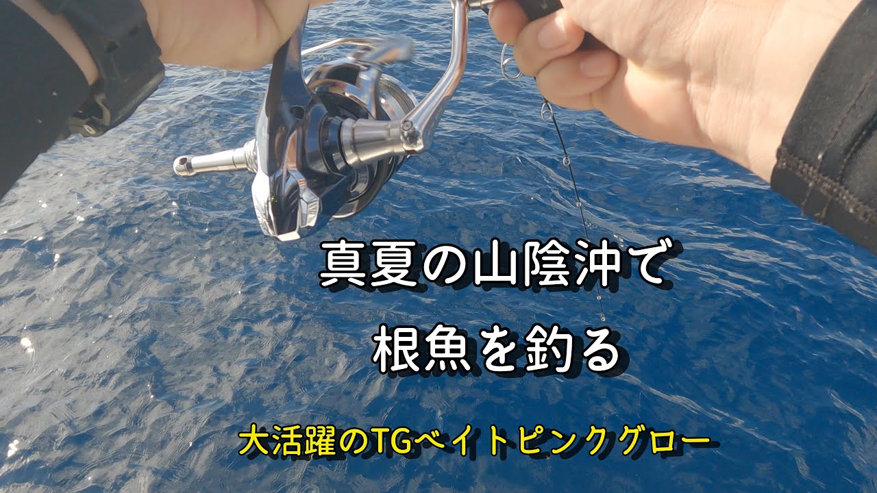 真夏の山陰沖で根魚を釣る