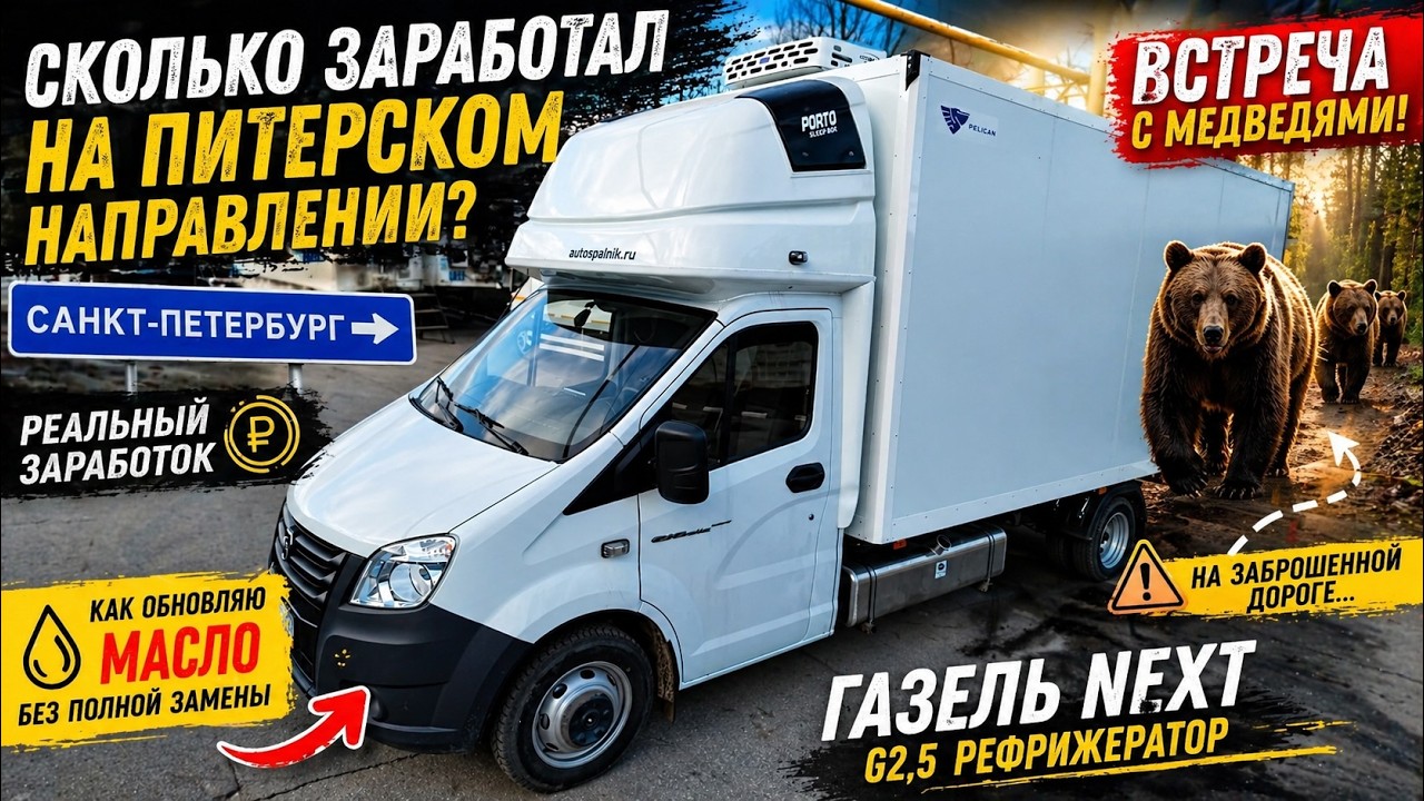 Несколько рейсов питерское направление ГАЗель NEXT G2,5 Рефрижератор