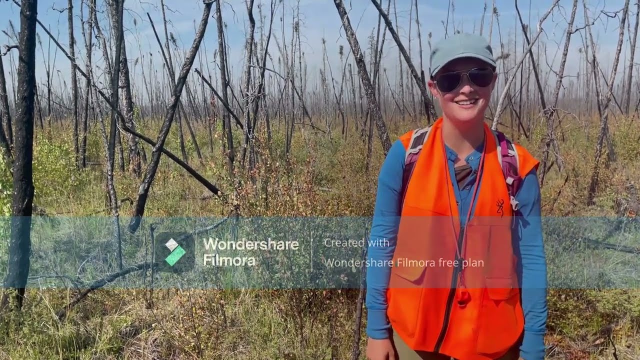 Changes in Plant Communities in the NWT by Claire Singer (WCS Canada Weston Fellow 2022)