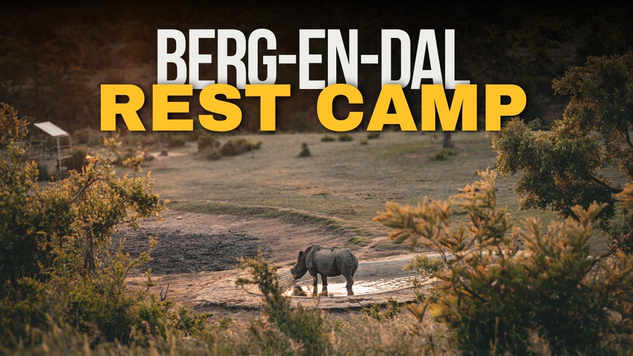 Berg-en-Dal Rest Camp Kruger National Park | Full Camp Tour & Review