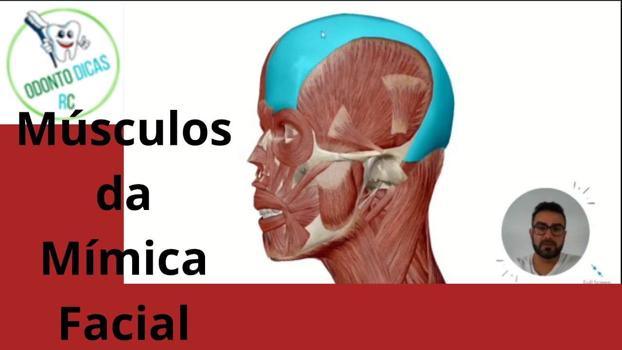 Músculos da mímica facial – Odonto Dicas RC