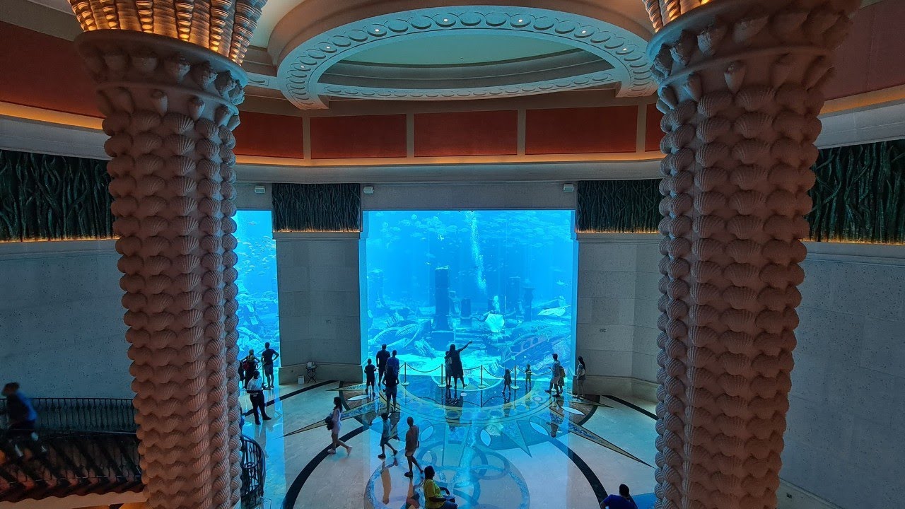 Lost Chambers Aquarium Tour