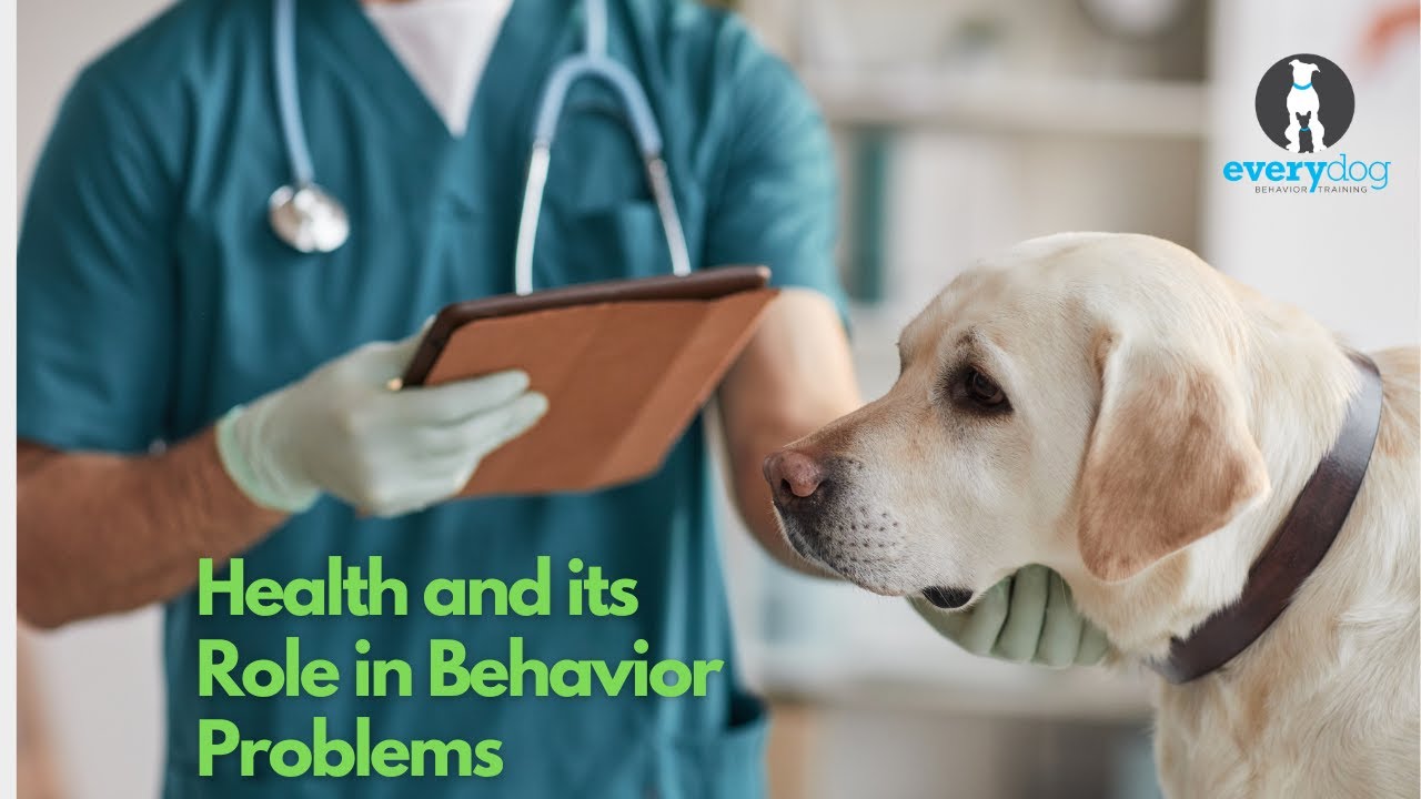 Health and its Role in Behavior Problems