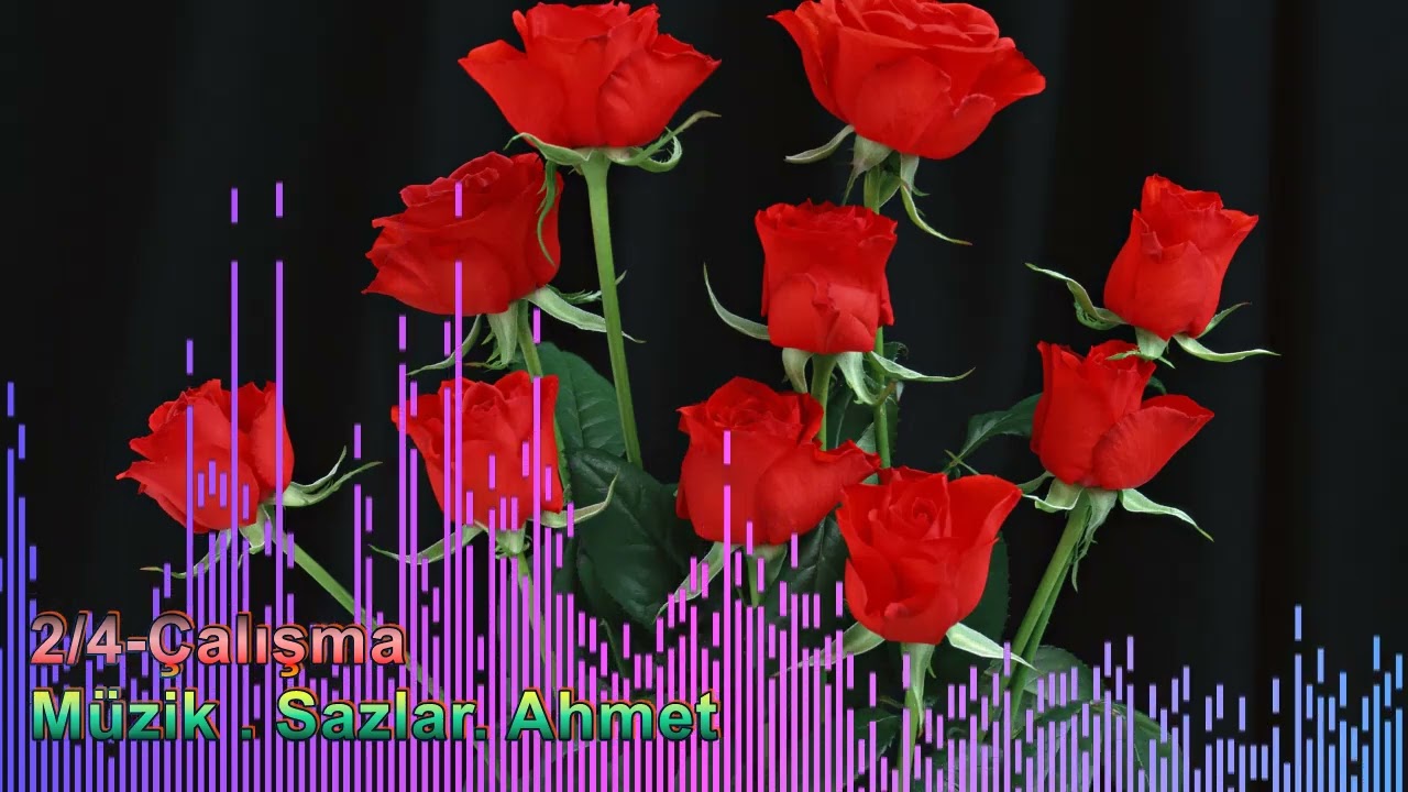 2/4-Çalışma  Müzik . Sazlar. Ahmet