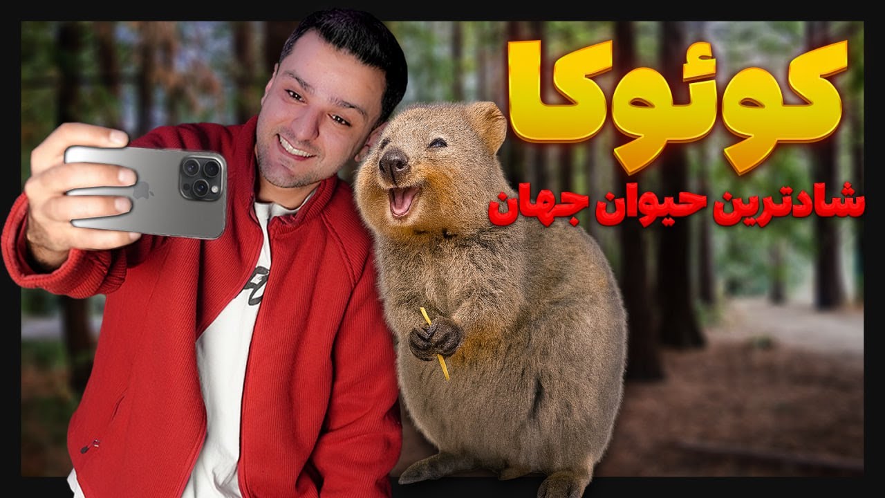 چرا شادترین حیوان دنیا  تلخ‌ترین زندگی رو داره؟ Quokka