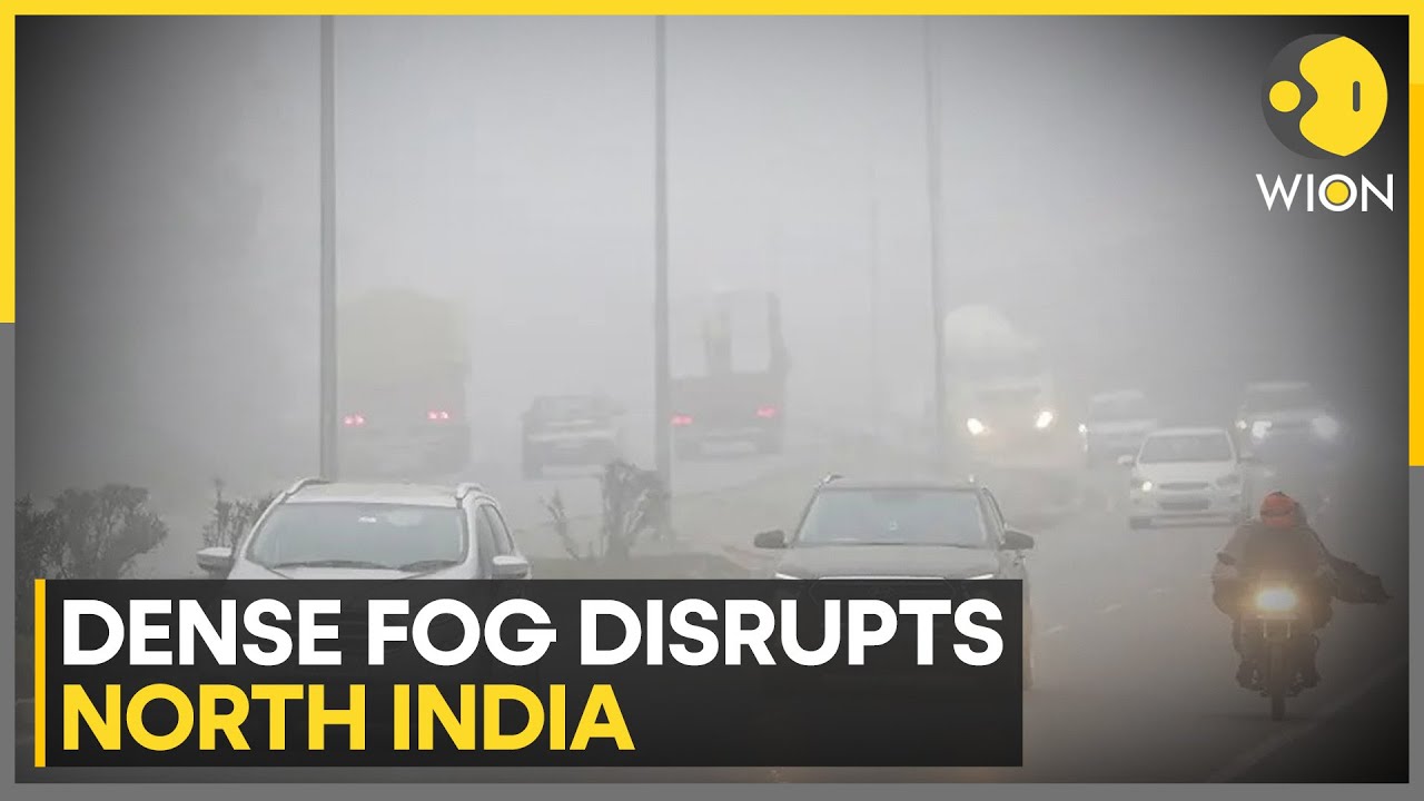 India: Cold Wave Sweeps Across Multiple States; IMD Warns of Severe Cold | WION NEWS