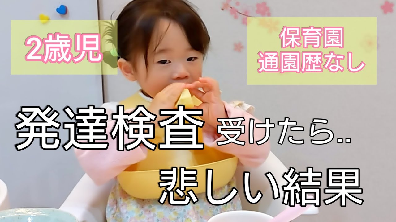 【2歳児】発達検査受けたら衝撃の結果で..緊急家族会議