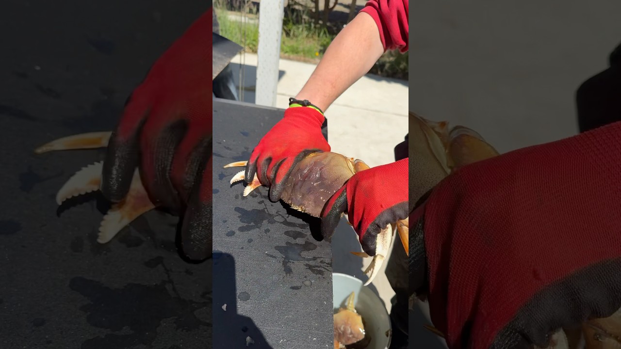 Easy quick technique for cleaning crab.