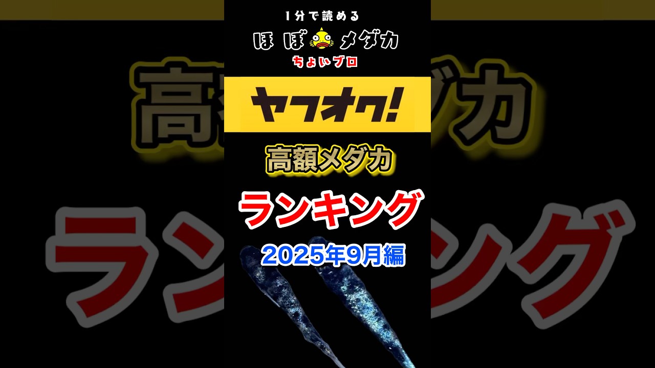 【ヤフオク】高額めだかランキング（2025年9月編）  #めだか #メダカ #HOBOめだか #ほぼメダカ #メダカ飼育 #ヤフオク #落札 #ランキング #ベストテン