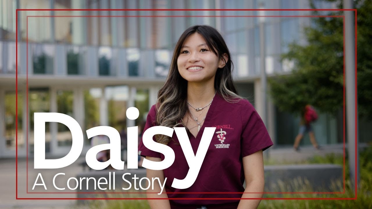 Daisy Dai DVM '26: A Cornell Story