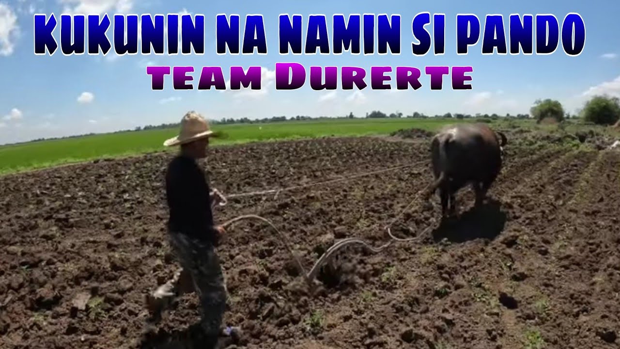 EP-617 iuuwi na namin si pando