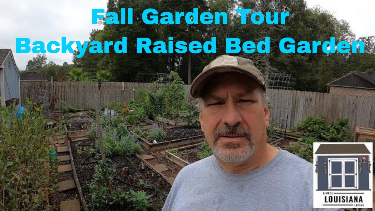 Fall Organic Raised-Bed  Backyard Garden Tour in Zone 9A