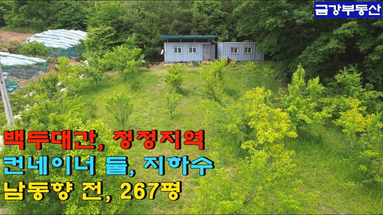 670. 청정지역, 백두대간. 야산아래 남동향 전 267평. 송이버섯 산지. 농막, 창고, 지하수. 상주시 화북면. 청화산, 문장대, 백악산.