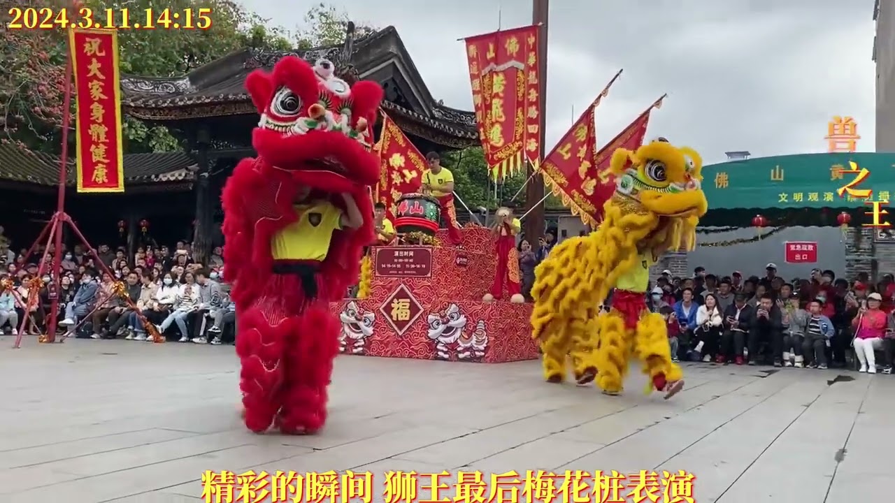 三月份 雨停了 狮子舞起来#醒狮文化 #醒狮表演 #醒狮传承 #国家级非物质文化遗产