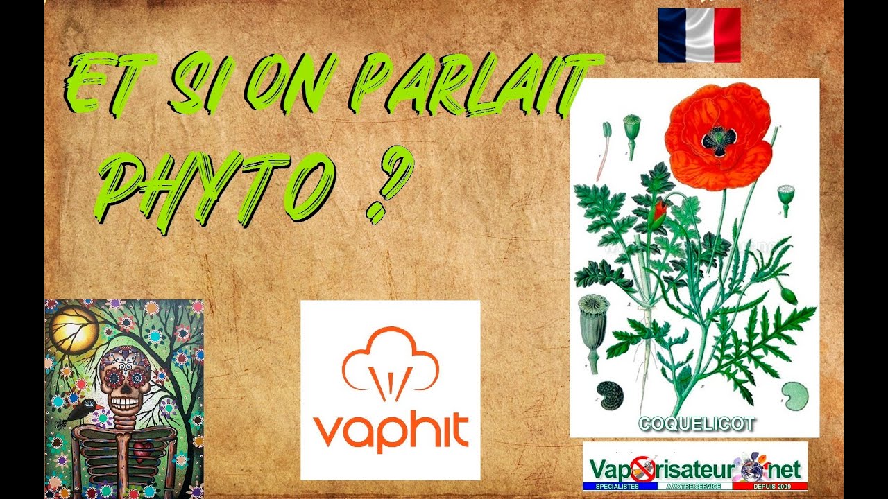 Vaporisation , Et si on parlait un peu phyto ? D&eacute;mo avec Vaphit QHC