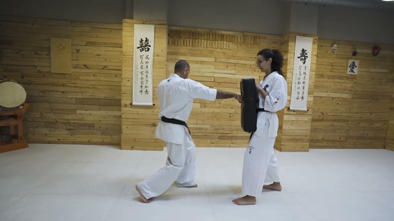Shihan Daniel S&aacute;nchez Kumite Techniques 5