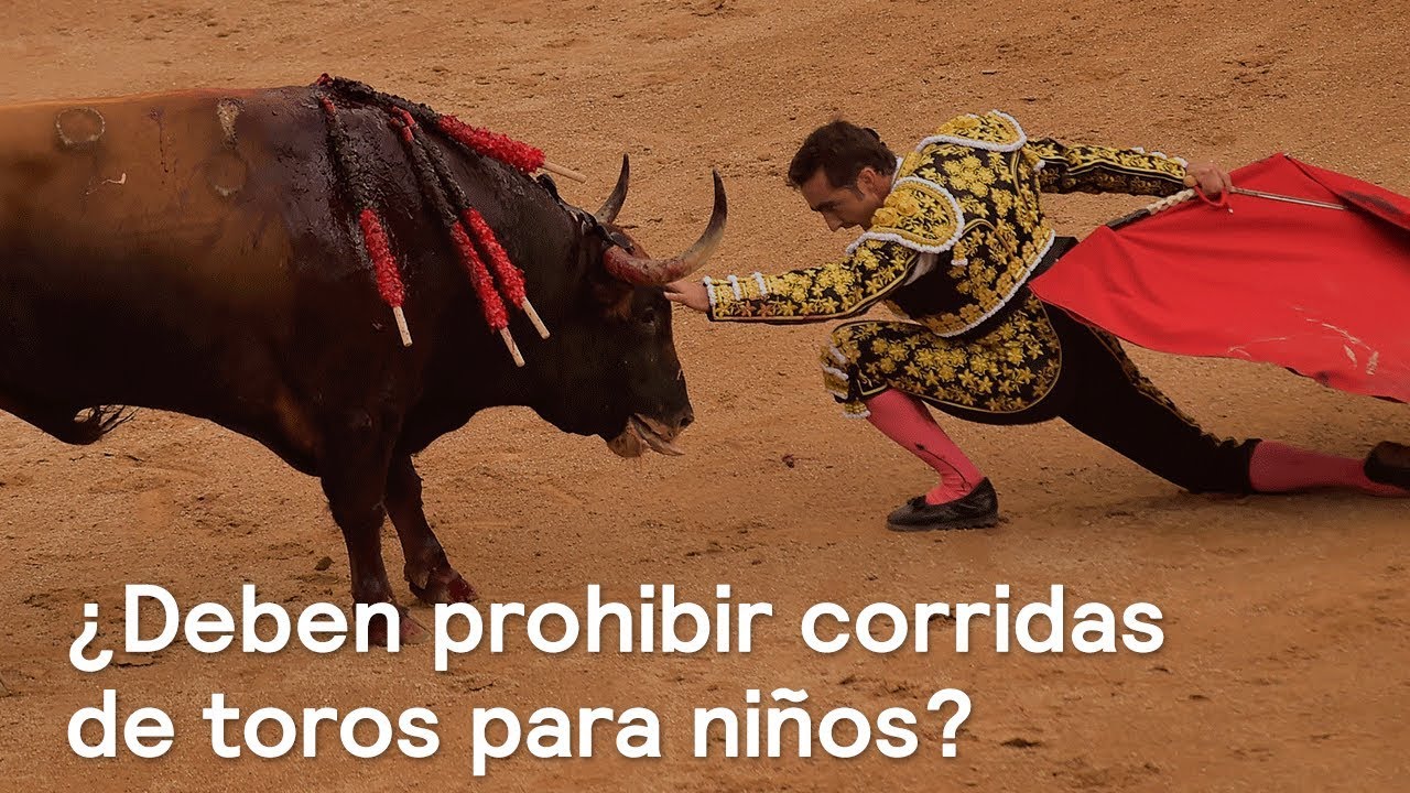 &iquest;Deben prohibir corridas de toros para ni&ntilde;os? - Foro Global