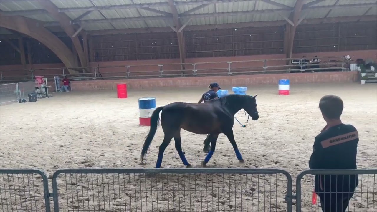 2025 Equifeel Lamotte Beuvron Club 2 avec Hermione du Gabereau jour 2