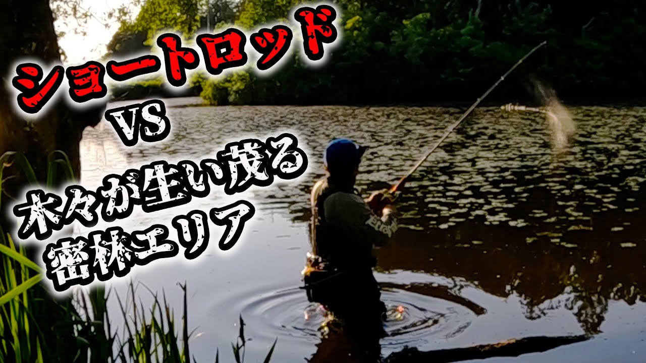 【ライギョ】ジャングル過ぎてキャストスペースがない所でも釣る！