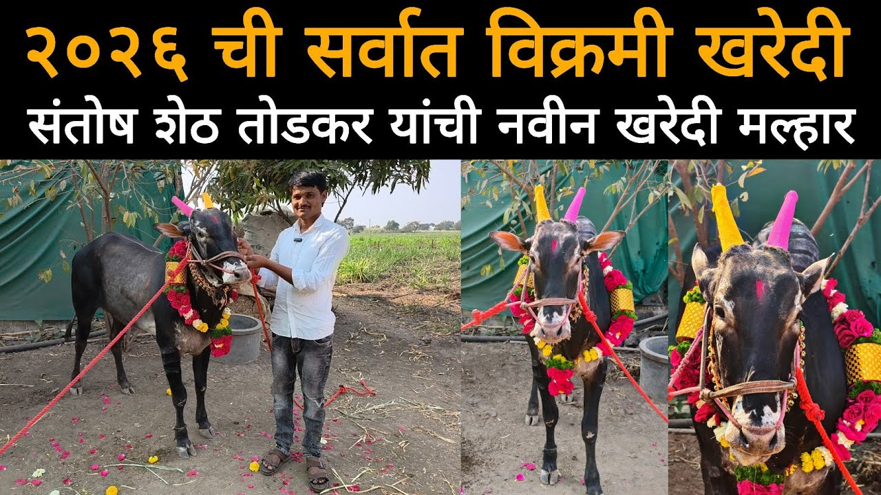 संतोष शेठ तोडकर यांची नवीन खरेदी मल्हार | महाशिवरात्र मुहुर्तावर २०२६ ची सर्वात विक्रमी खरेदी 