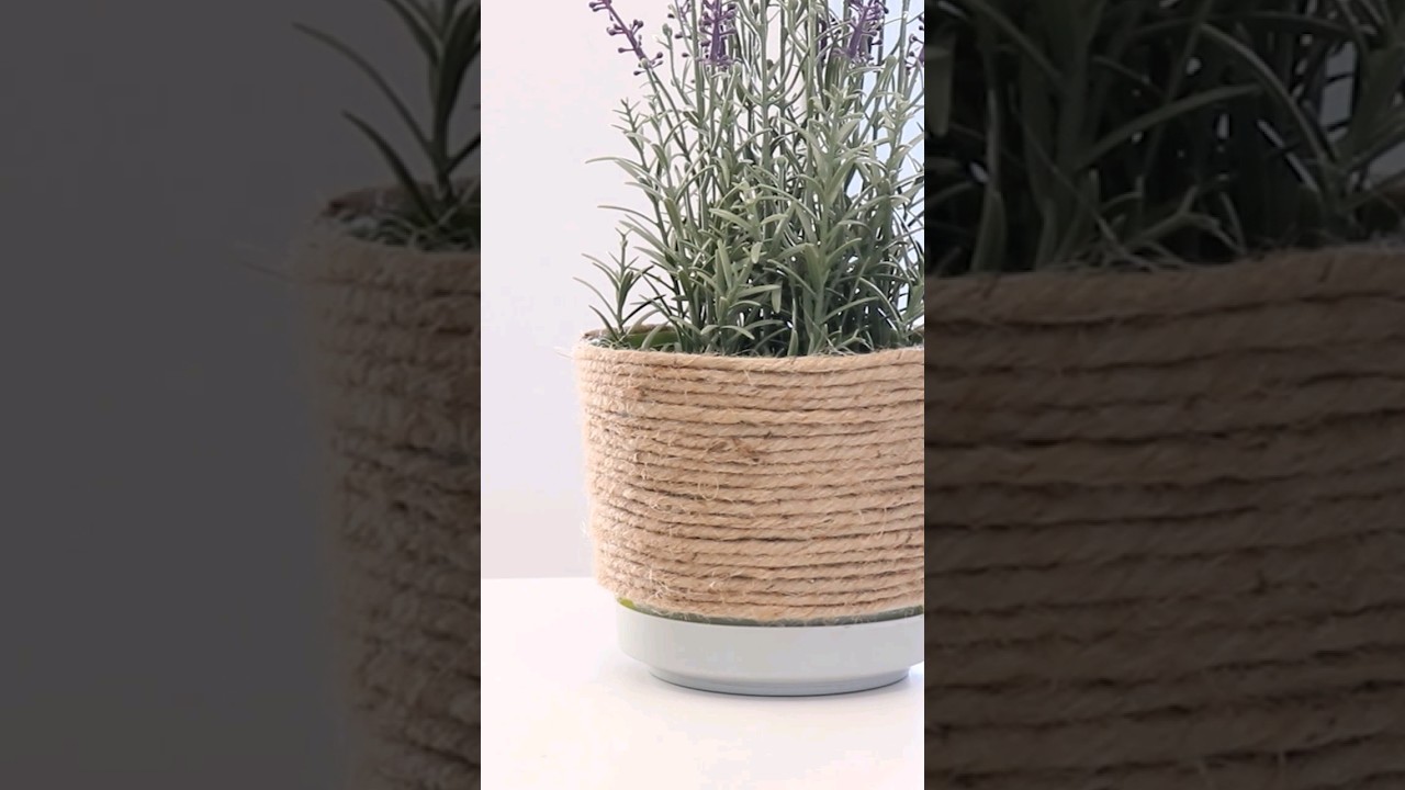 Update a simple plastic planter with rope for a natural look #planter #houseplants