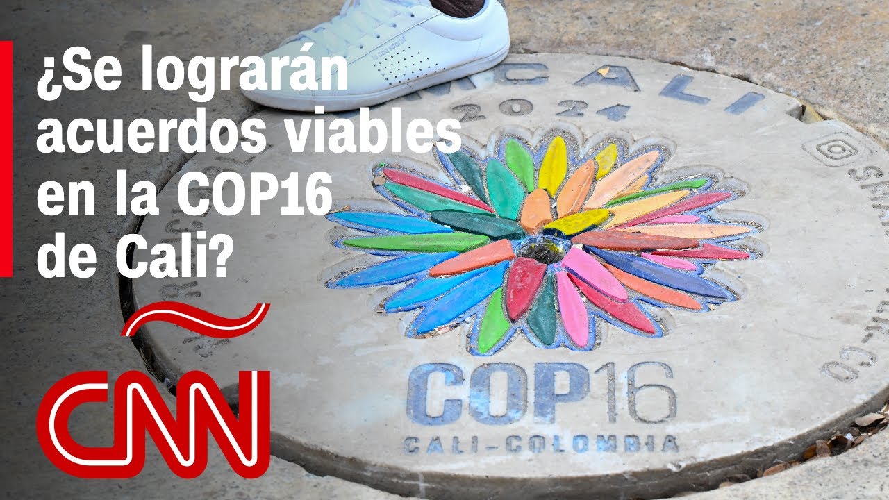 Las expectativas de la COP16 de Cali ante el calentamiento global