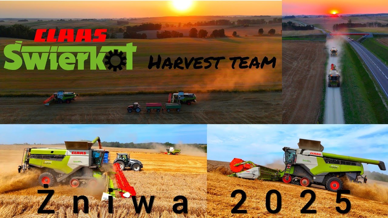 2x Lexion VS Pszenica | #żniwa2025 #harvest 