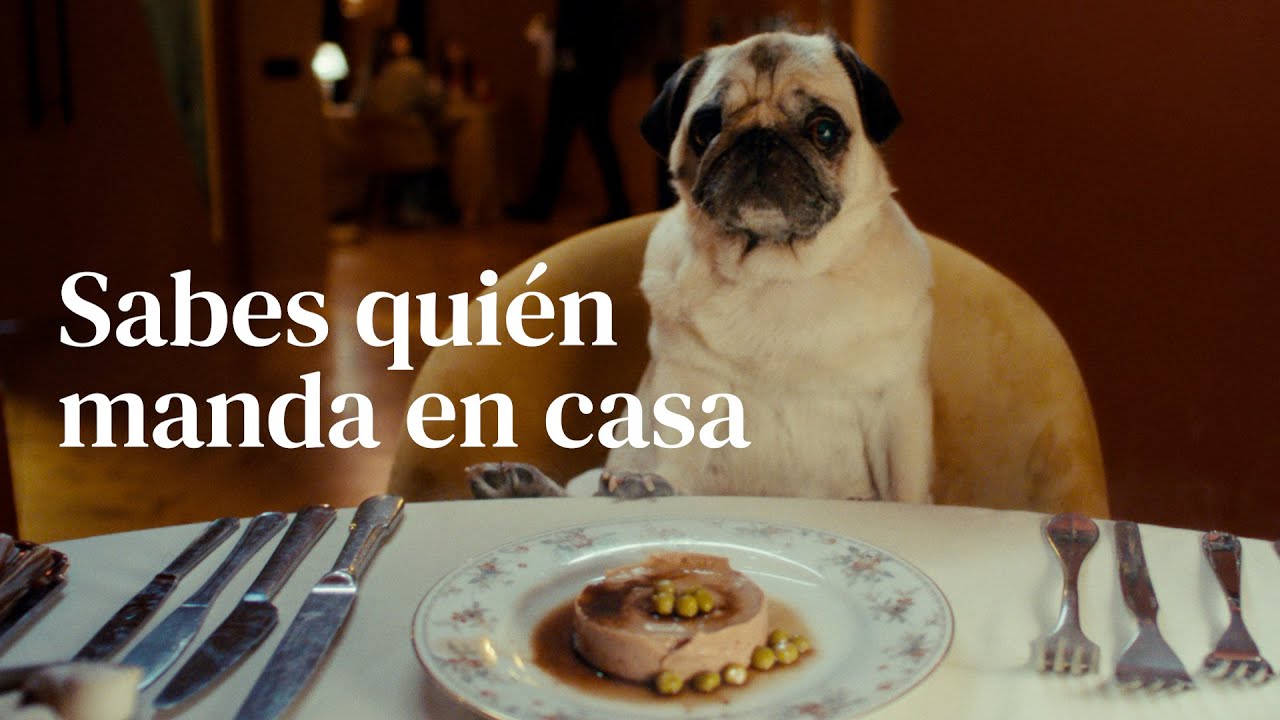 Sabes quién manda en casa · MISCOTA · Spot 15"