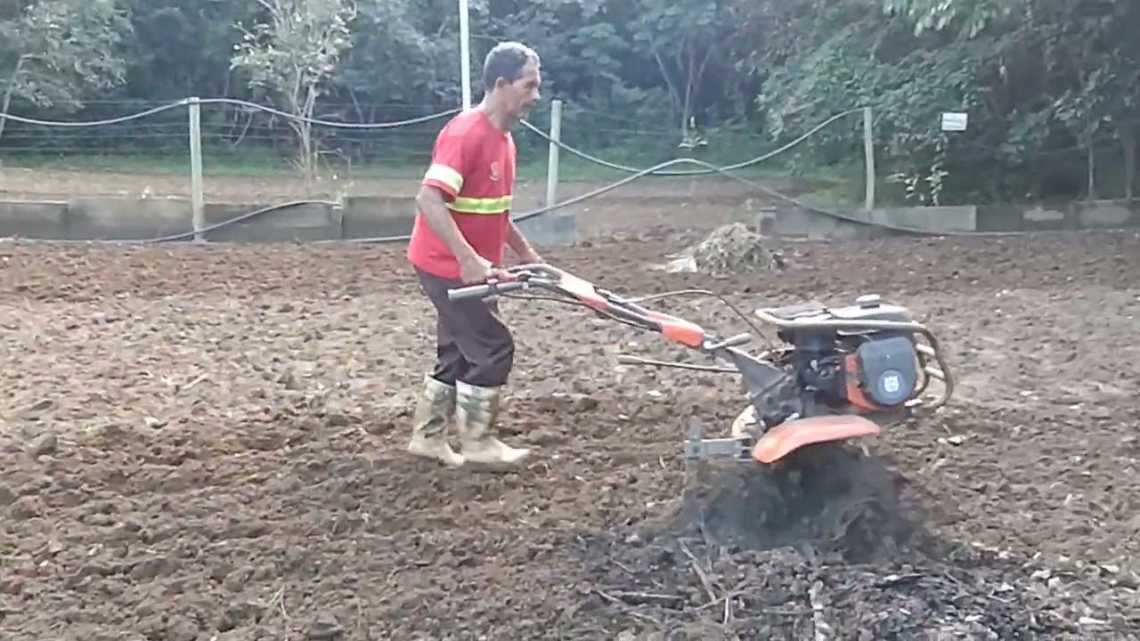 Preparando a terra para plantio de arroz 