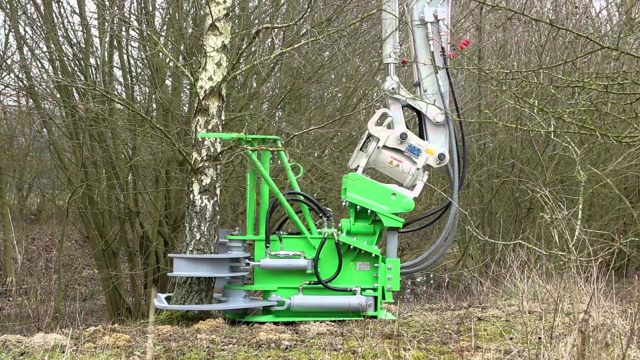 Baumschere
