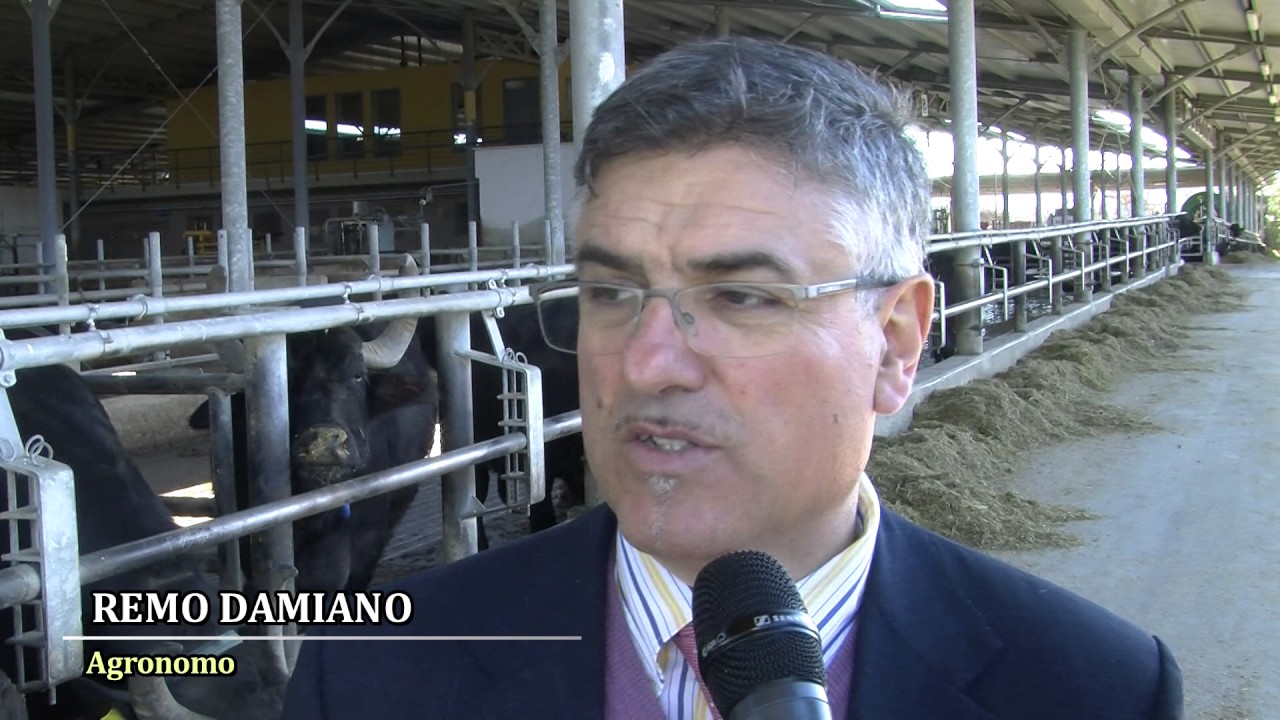Agricoltura 2.0 – Tenuta Vannulo: l'orgoglio del Sud/SPECIALE