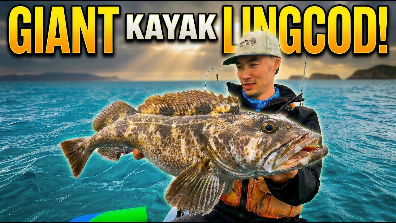 Beginner Catches a 28lb Lingcod Kayak Fishing!