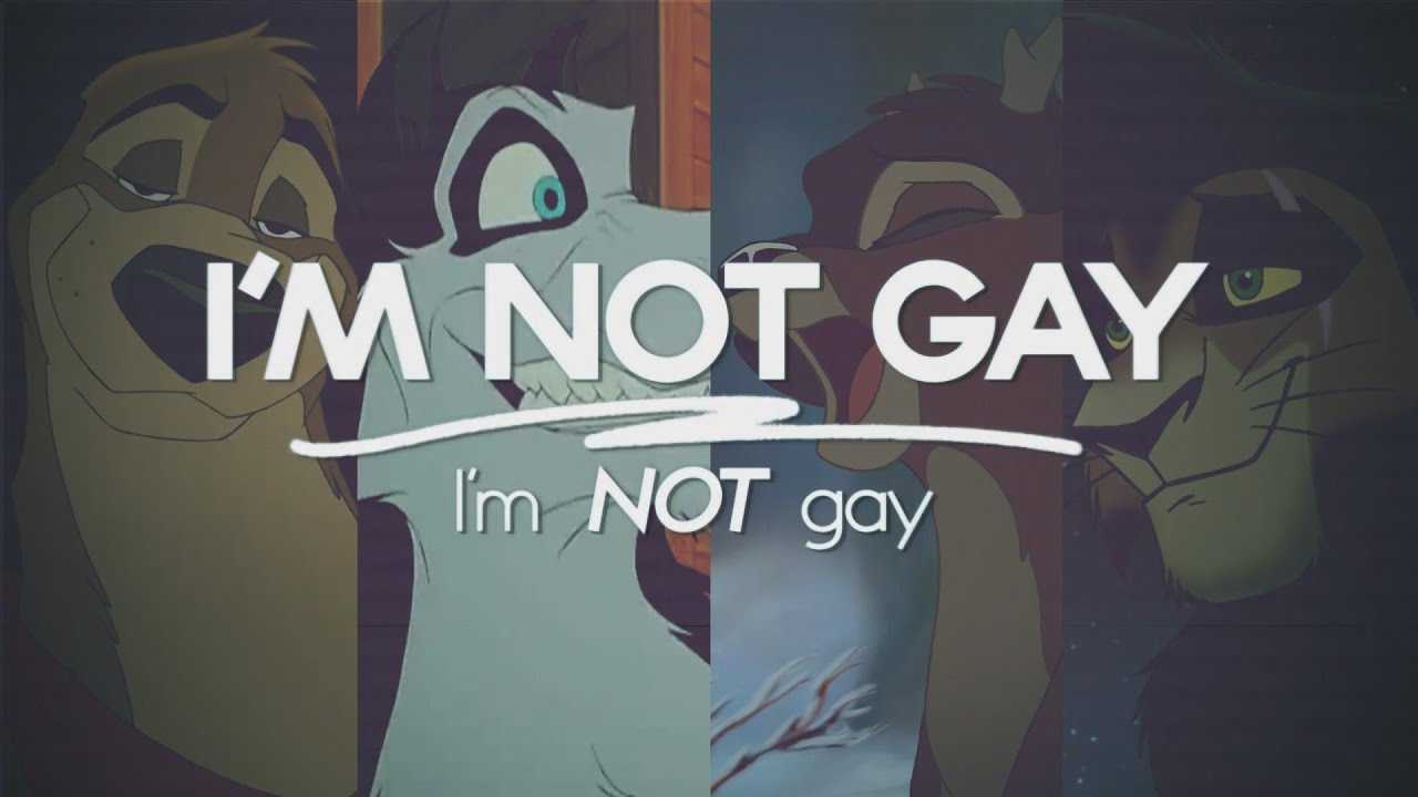 I'M NOT GAY ~