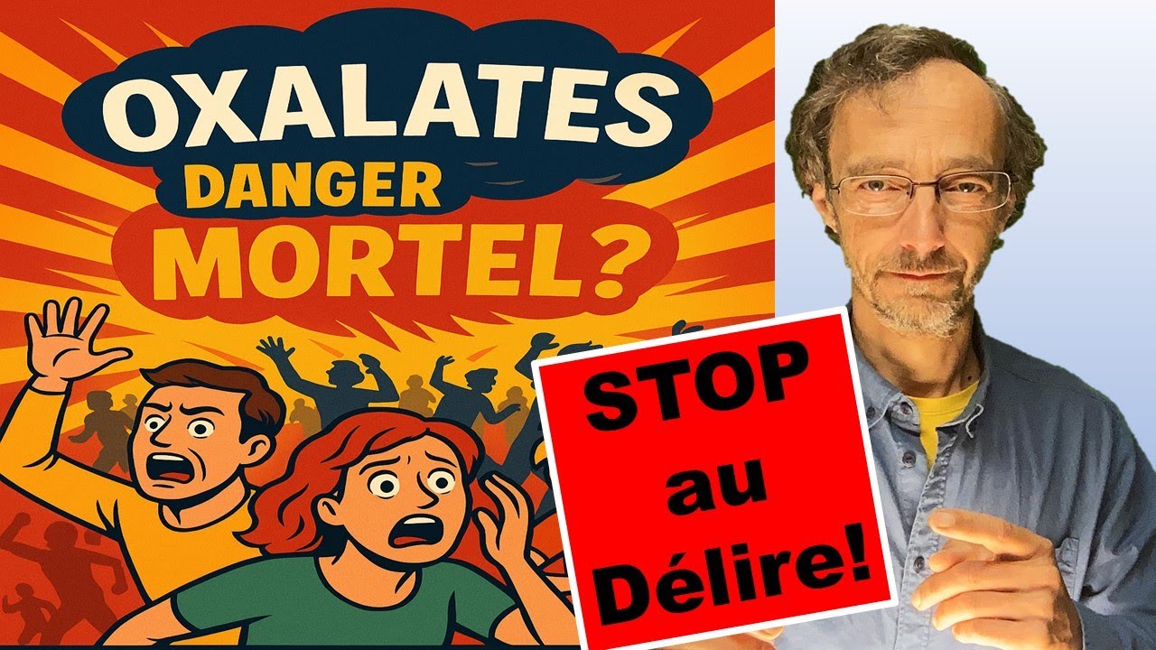 Oxalates : danger réel ou exagéré ? (Causes, douleurs, solutions)