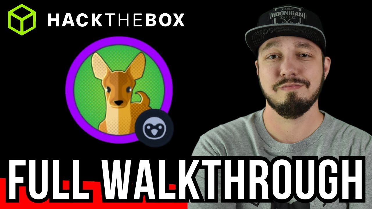 HackTheBox Starting Point: Fawn - Walkthrough (for beginners)