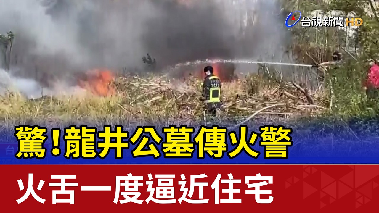 驚！龍井公墓傳火警 火舌一度逼近住宅
