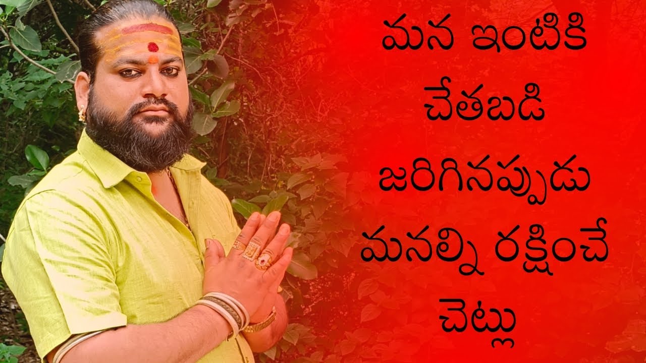 మన ఇంటికి చేతబడి జరిగినప్పుడు మనల్ని రక్షించే చెట్లు 7396706945  7993790490