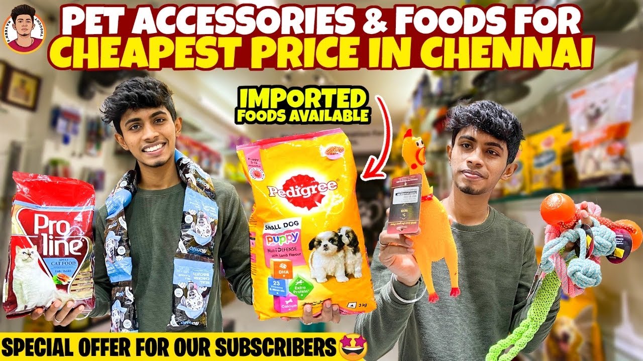 Pet Accessories & Food for Cheapest Price | Imported Foods Available | Naveen’s Thought