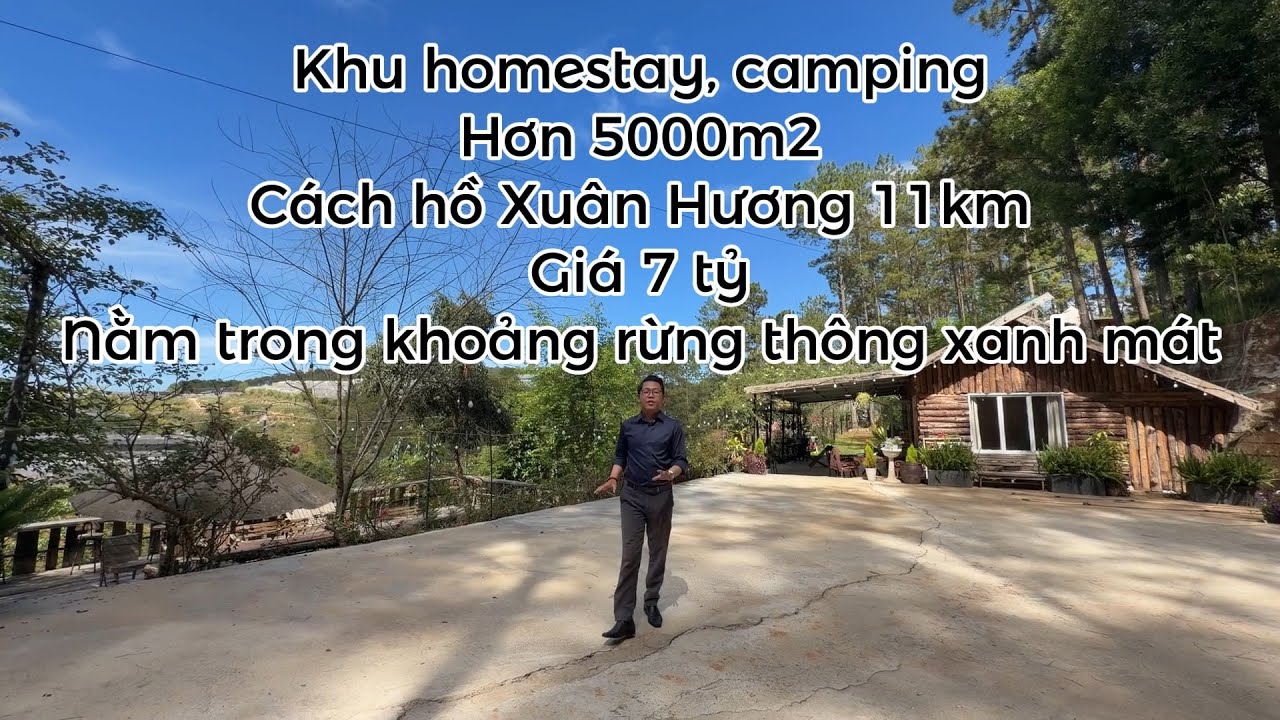 Khu homestay, camping ngay giữa rừng thông tại Đà Lạt