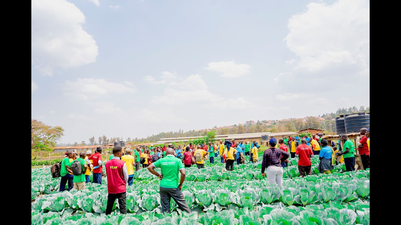 YEAN partner farmers visit the Rwanda-Israel Horticulture Center of Excellence