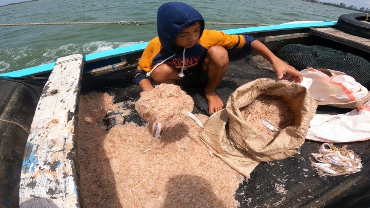 Hasil melimpah udang rebon