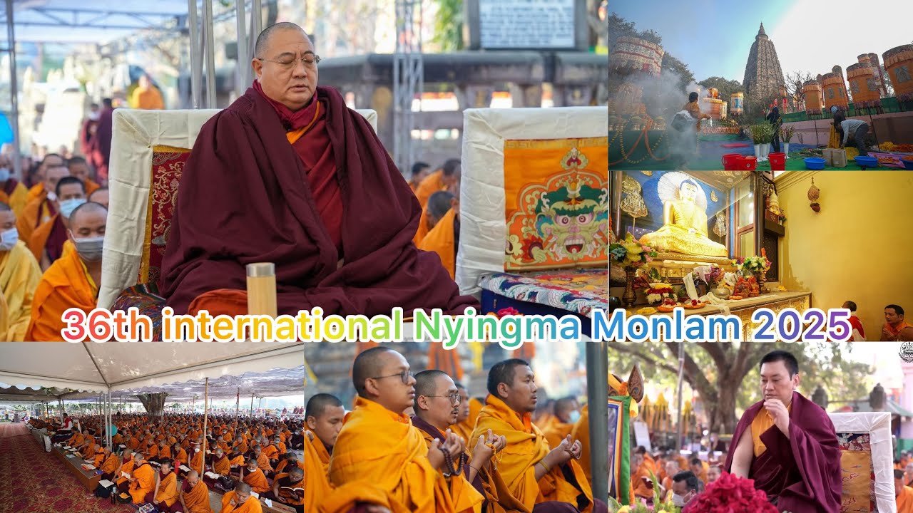 36th international Nyingma Monlam 2025🙏❤️