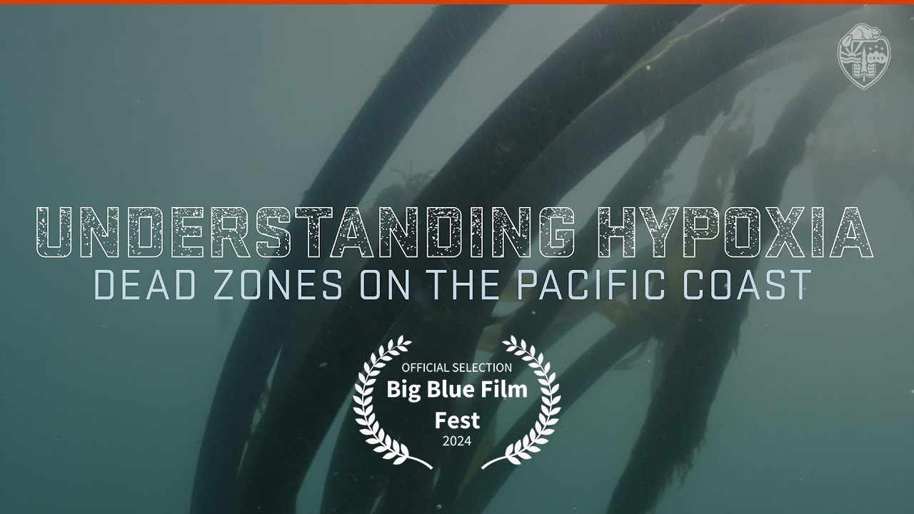 Understanding Hypoxia: Dead Zones on the Pacific Coast
