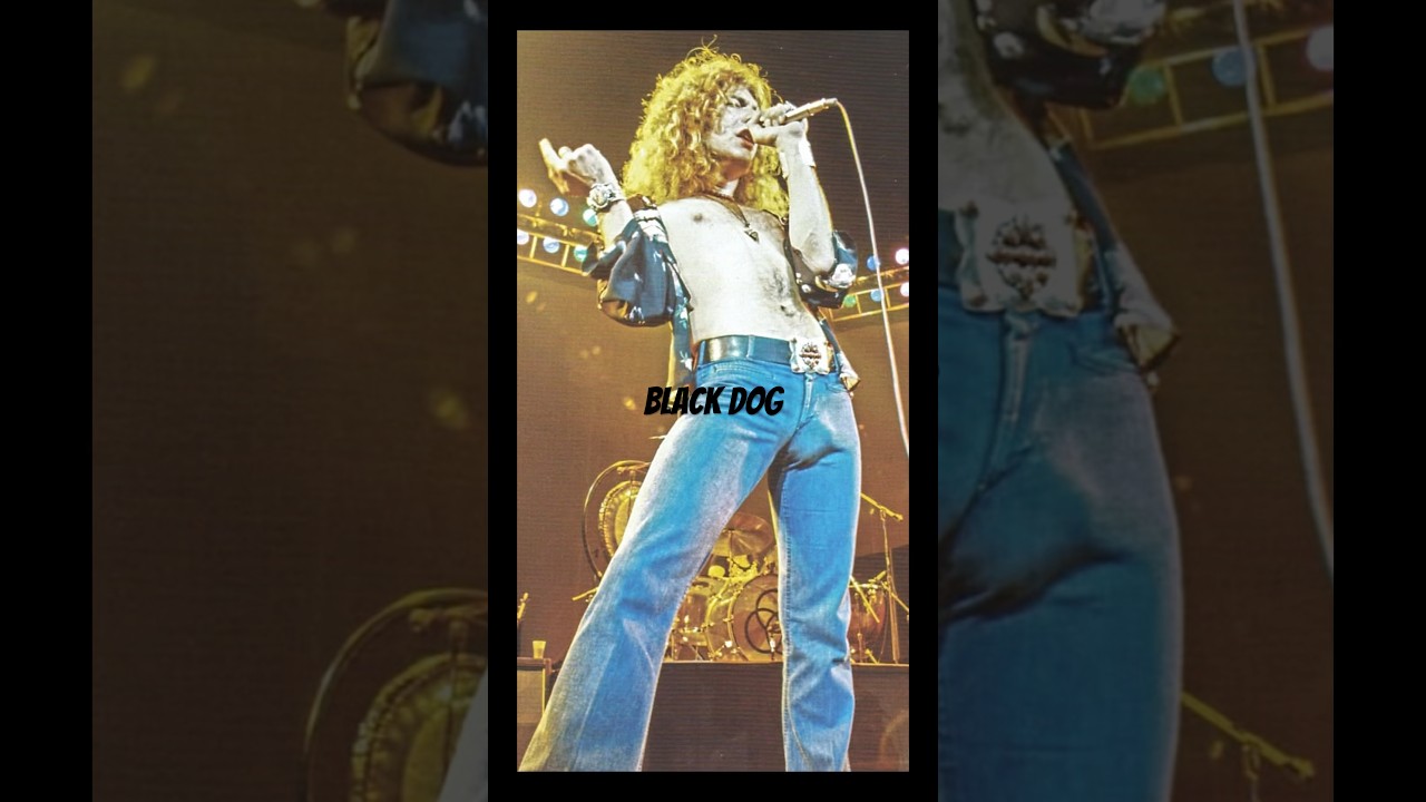 Led Zeppelin-Black dog#gettyimages #giphy #rocknroll #ledzeppelin #blackdog #rock #rockandroll