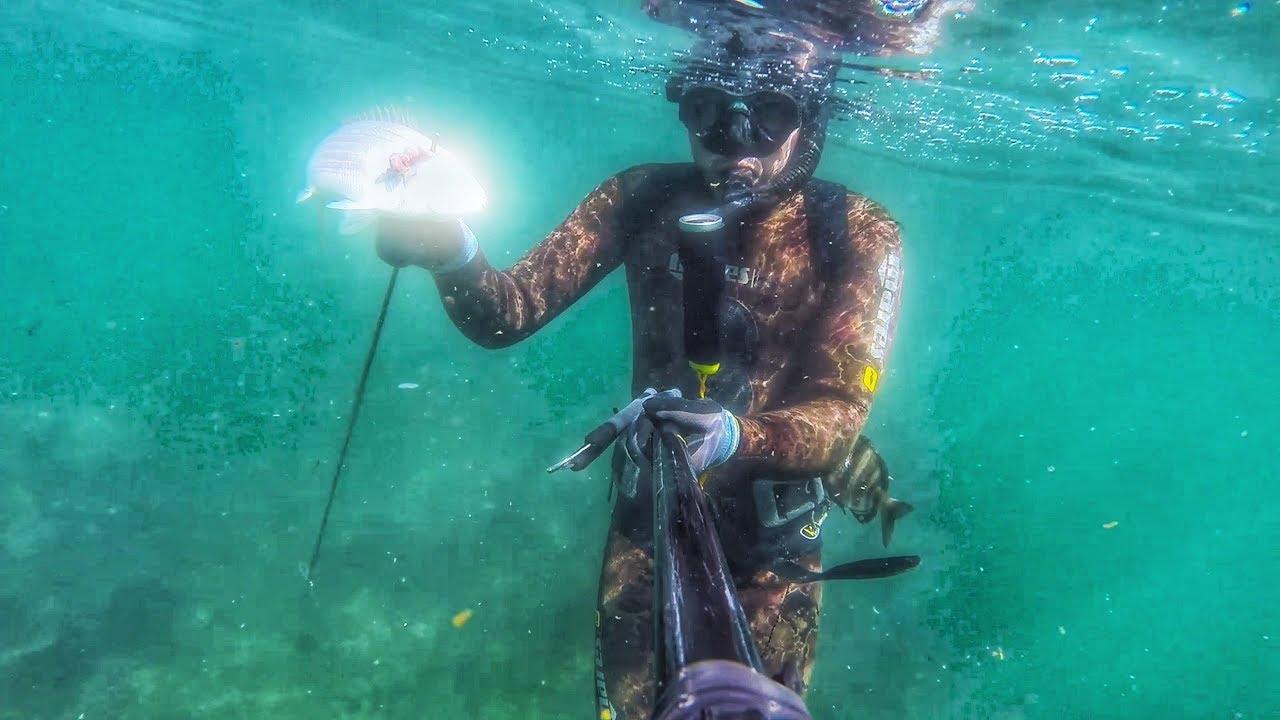 Sortie de Chasse Sous Marine AGADIR Maroc Atlantique  Spearfishing Morocco ATLANTIC   Go-pro #1