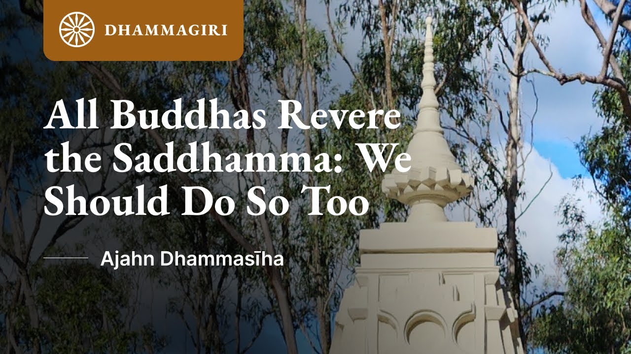 All Buddhas Respect & Revere the Saddhamma | Sutta Exploration | AN Fours 21 | Ajahn Dhammasiha