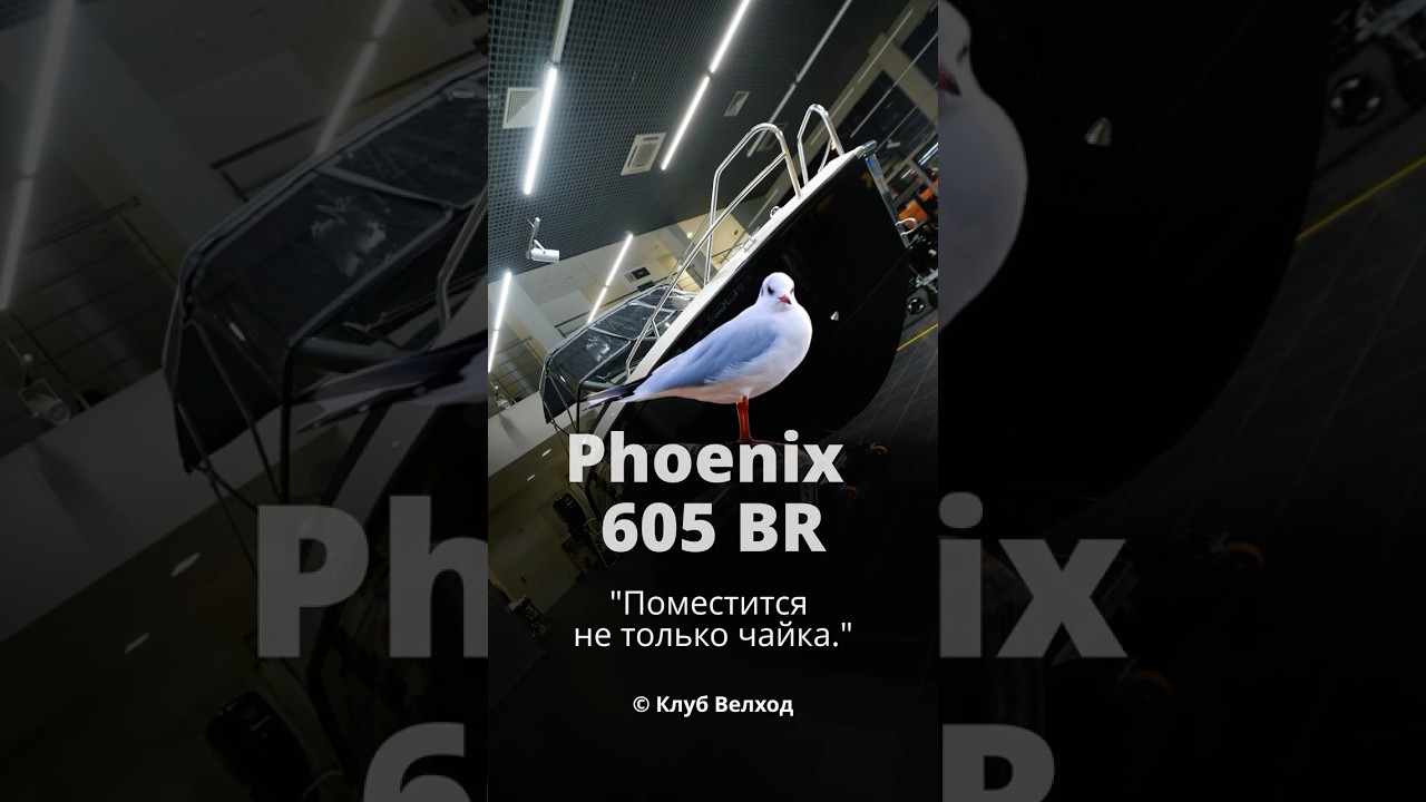 Phoenix 605BR: катер, где каждый  сантиметр работает на ваше удобство!📏⚓️