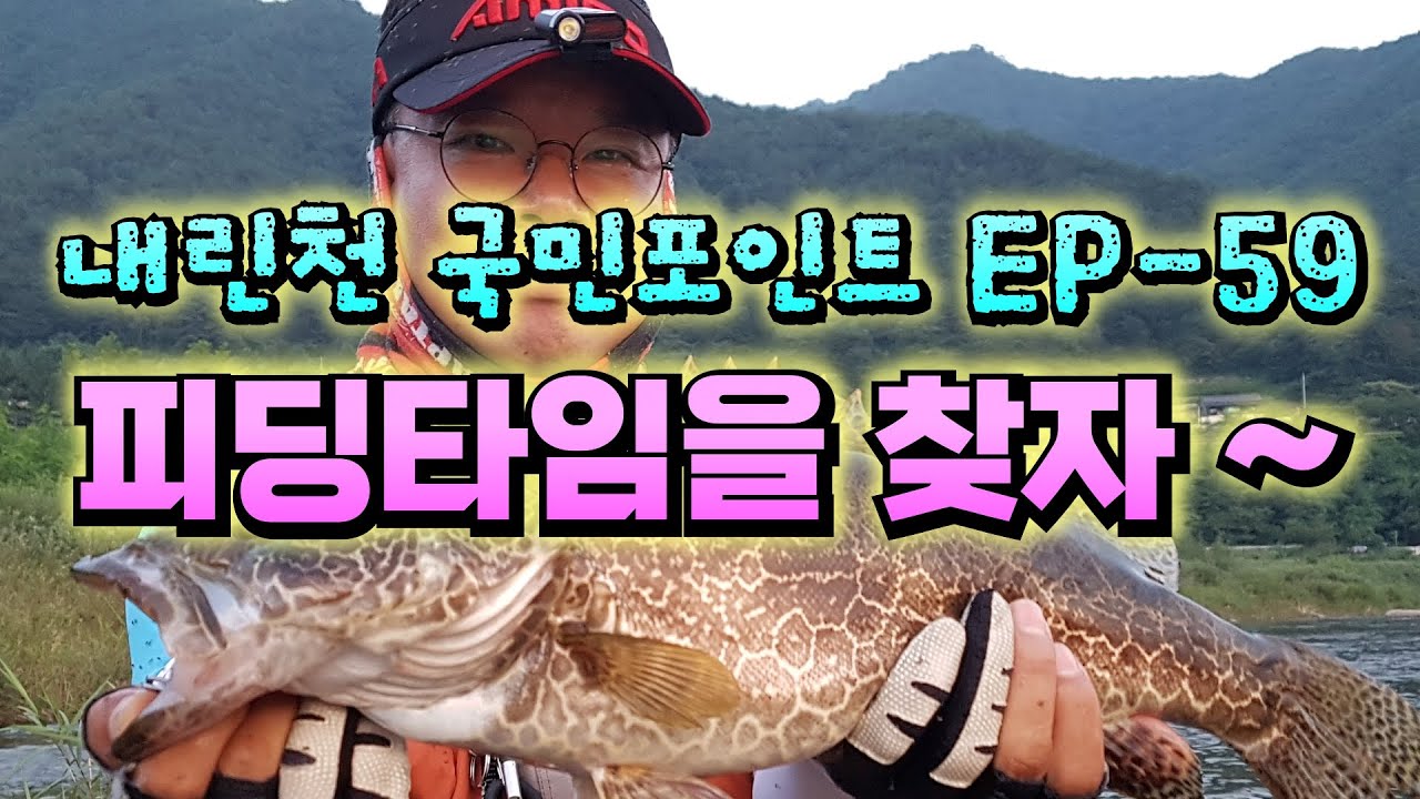 내린천 국민포인트 쏘가리 피딩타임 EP-59